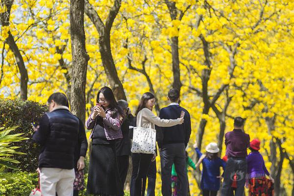 真要重聚？迈阿密17万买下注册名额，内马尔有位置了，梅西欣慰_国际_球员_联赛 