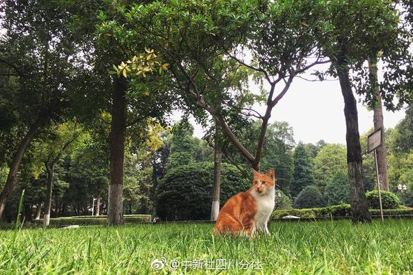 湖北省纪委监委派驻省卫健委纪检监察组原副组长、二级巡视员徐建军接受纪律审查和监察调查