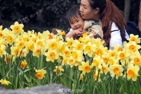 花游世界杯北京站开赛 东道主25名选手全项目参赛_自选_比赛日_技术 